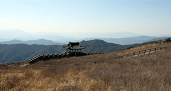 철쭉을 보며 오르고 벚꽃을 보며 뛴다