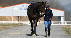 함안, 신성장동력으로서 말산업 육성