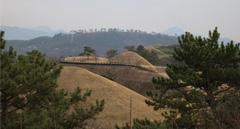 세계 이웃과 공유 앞둔 가야의 타임캡슐 말이산고분