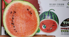 함안수박과 파프리카, 함안을 넘어 한국을 대표한다