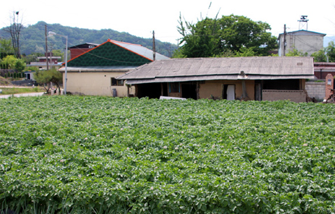 한국의 시골, 구색은 다 갖췄네요