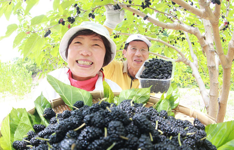지구촌 이웃들이 생각하는 한국, 한국인은?