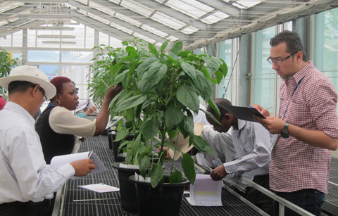 한국, 아시아·아프리카와 품종 심사 기술 공유