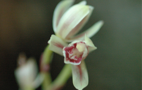 한려·태안 해상국립공원은 생물다양성의 보고