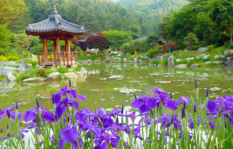 여름꽃 보며 더위를 잊으세요