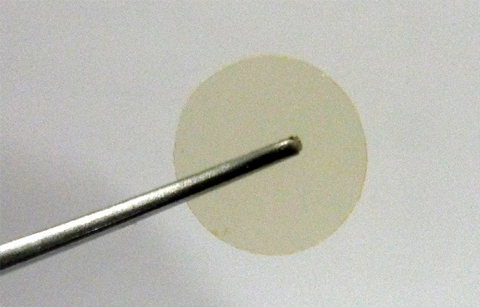 곤충으로 화장품, 의약품을 만든다