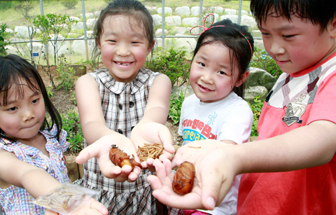자연을 관찰하며 쉴 수 있는 ‘곤충생태원’ 개원