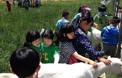 다양한 동물과 함께 여름휴가를