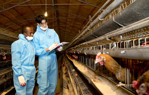 한국, 아프리카 작은 섬나라와 양계기술 협력 강화