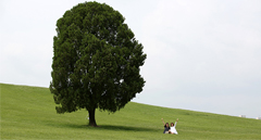 올림픽공원, 스포츠에서 SNS의 성지로