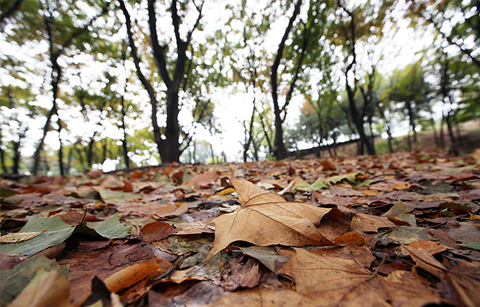 한국, 가을을 넘어 겨울로