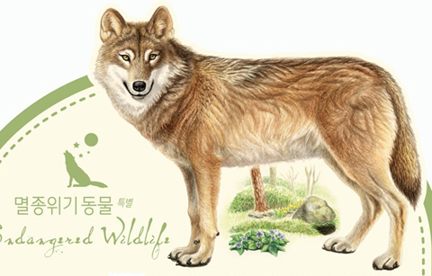 멸종위기동물 늑대를 기억하며