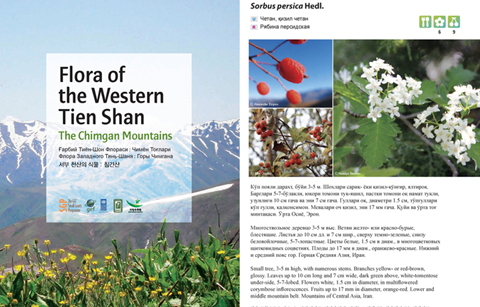 중앙아시아 자생식물 보존 협력