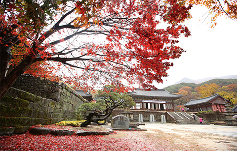늦가을 산사에서 가을을 만끽하다