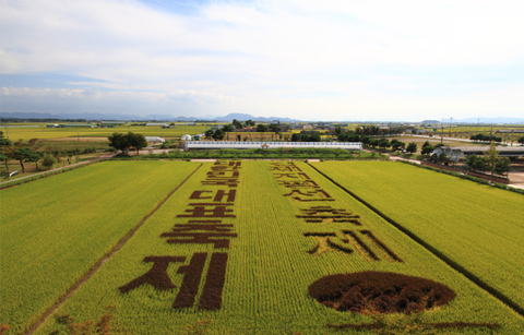 2016, 대한민국 축제로 떠나자