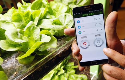 국가정보화로 국민행복•창조경제 실현