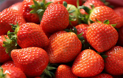 한국산 딸기, 베트남에 수출한다