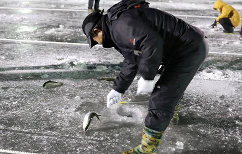 기다리던 얼음낚시의 짜릿한 손맛이 돌아왔다
