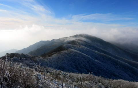 추운 날씨를 사랑할 줄 알게 되다