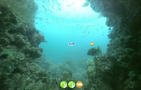 제주도 바닷속 탐험, 집에서 한다