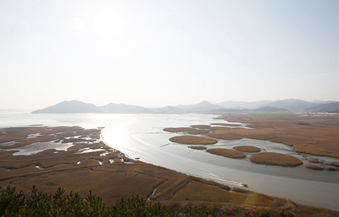 자연과 인간, 전통과 현대가 공존하는 곳, 순천