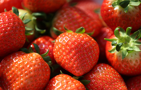 더 맛있게 즐기는 한국 딸기