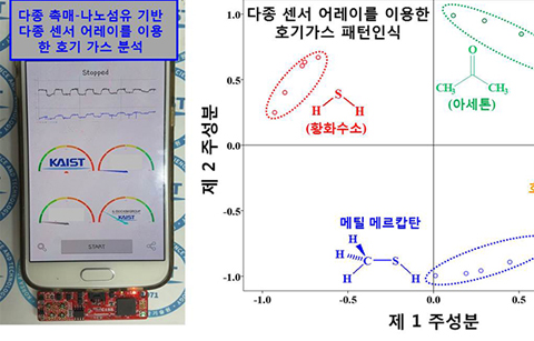 호흡만으로 폐암•당뇨 조기 진단 가능해진다