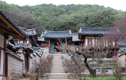 안동에서 만나는 한국의 정신문화