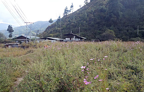 꿈과 희망을 심는 부탄의 ‘작은 체육관’