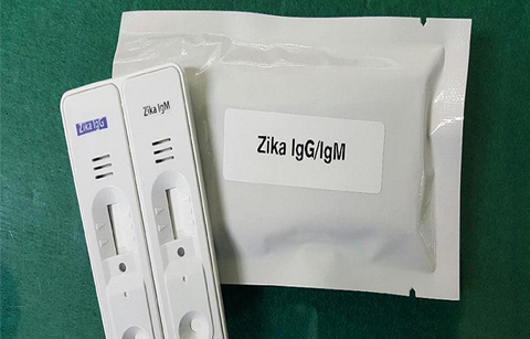 지카 바이러스 진단키트 개발