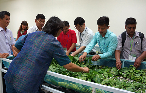 한국, 아시아 5개국과 양잠기술 공유