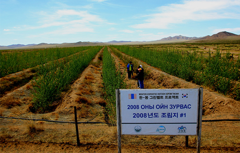 몽골 사막이 푸른 숲으로