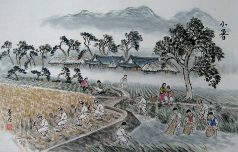 '작은 더위' 소서