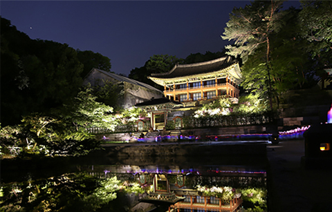 궁궐의 달빛야경을 감상하세요