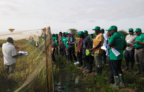 	한국의 농업•물관리 기술, 전세계 확산