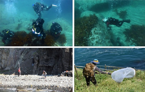 독도 생물 국내 미기록 3종 포함, 총 5백94종 산다