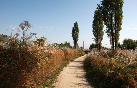 걷기 좋은 한강길 5선
