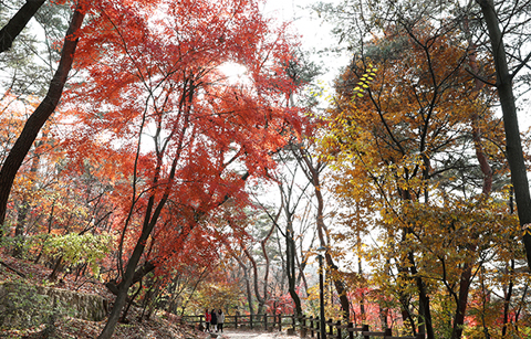 	서울에서 느끼는 2016 가을의 끝