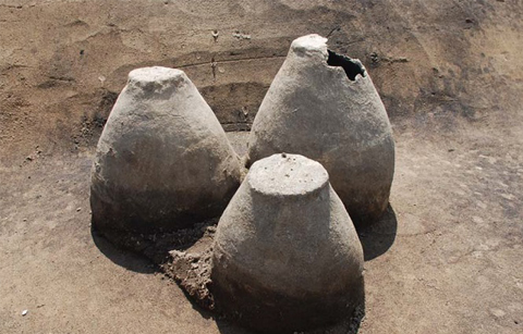 	강원도 정선에서 남한 최고 청동기시대 유물 출토