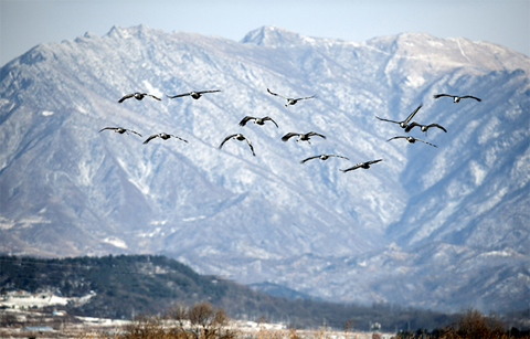 	겨울 보내기 좋은 농촌관광코스 9선