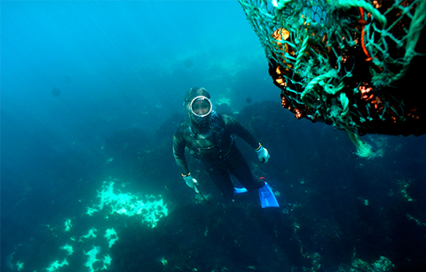 	제주 해녀문화 유네스코 인류무형문화유산 등재