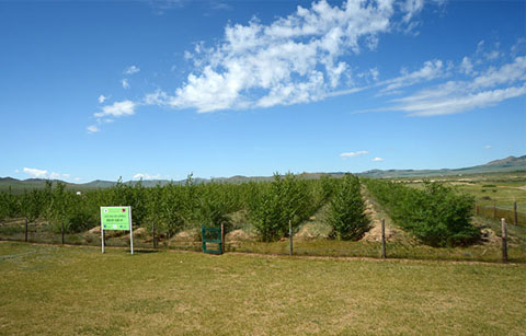10년 만에 이룬 몽골의 ‘녹색희망’