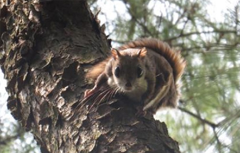 	한국 습지보호지역은 ‘야생생물의 낙원’