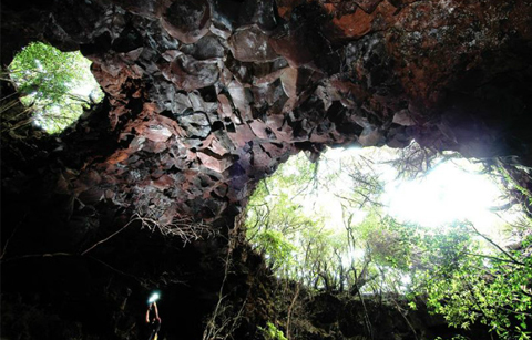 	제주도 용암동굴 천연기념물 지정