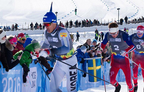 	태극마크를 달고 평창을 빛낼 20인