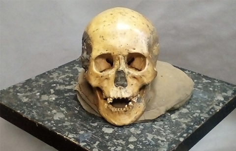 7700년전 게놈서 한국 유전적 뿌리 발견