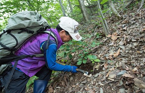 심마니가 디지털 시대를 사는 법