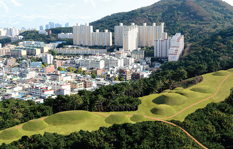 부산 연산동 고분군, 삼국시대 무덤 축조기술 알려주다