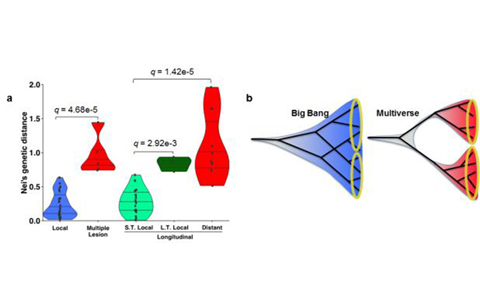 	뇌종양 유전체 시공간적 진화 분석 성공