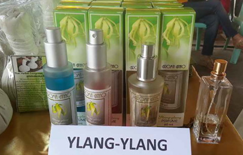 	특허 기술 지원으로 탄생한‘일랑일랑 허브오일센터’